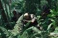 Gray Zone Warfare soldiers in a lush jungle