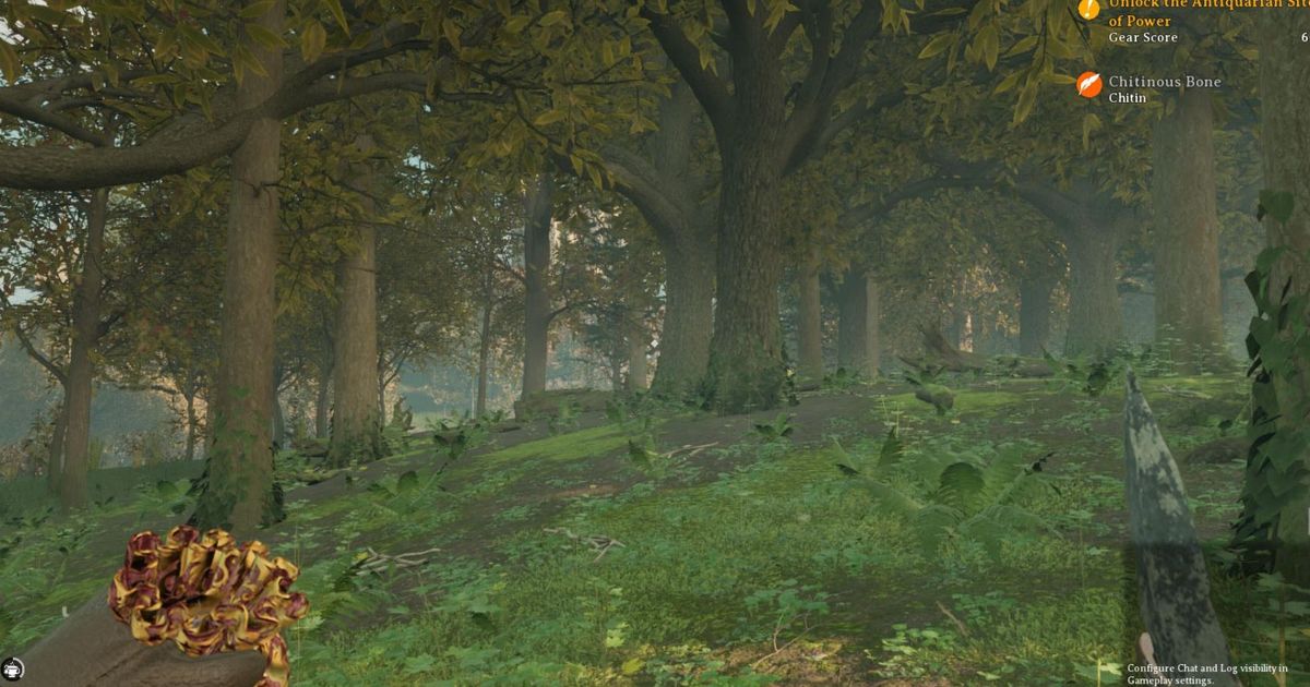 Image of Nightingale forest from first-person perspective