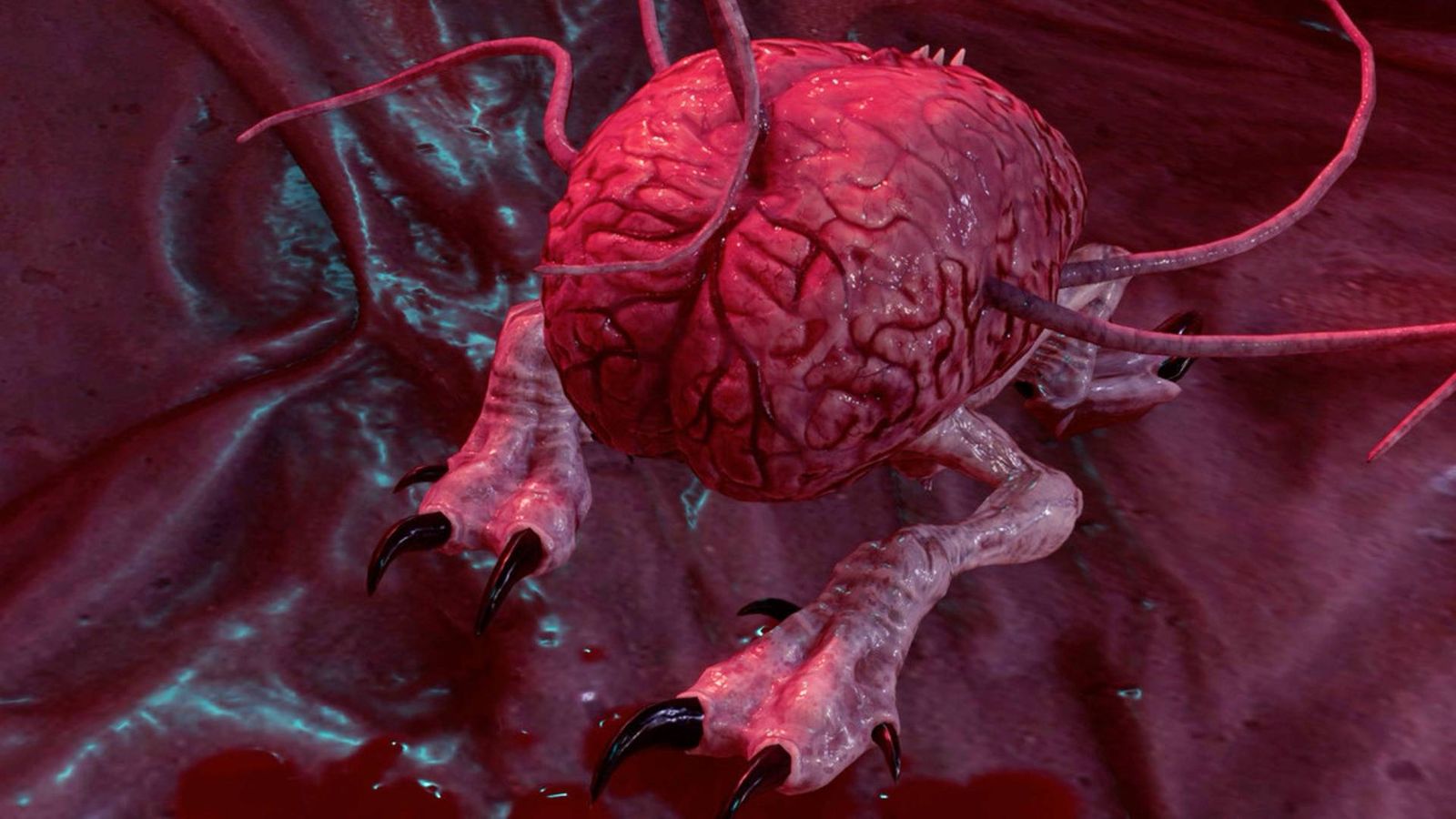An image of Us the brain in Baldur's Gate 3