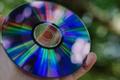 A hand holding an optical disc in front of an out of focus tree 