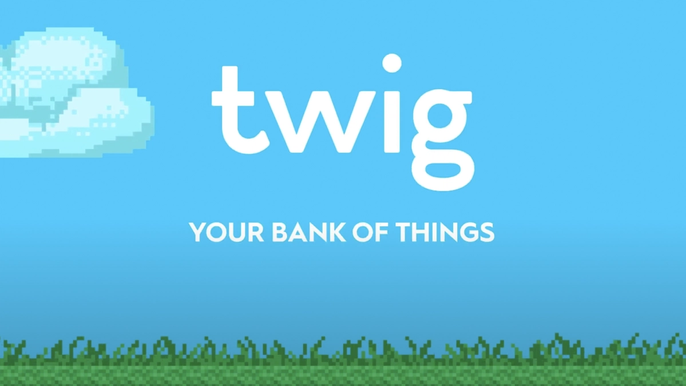What can you sell on Twig?