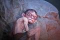 lord of the rings gollum devs badly defend paid dlc