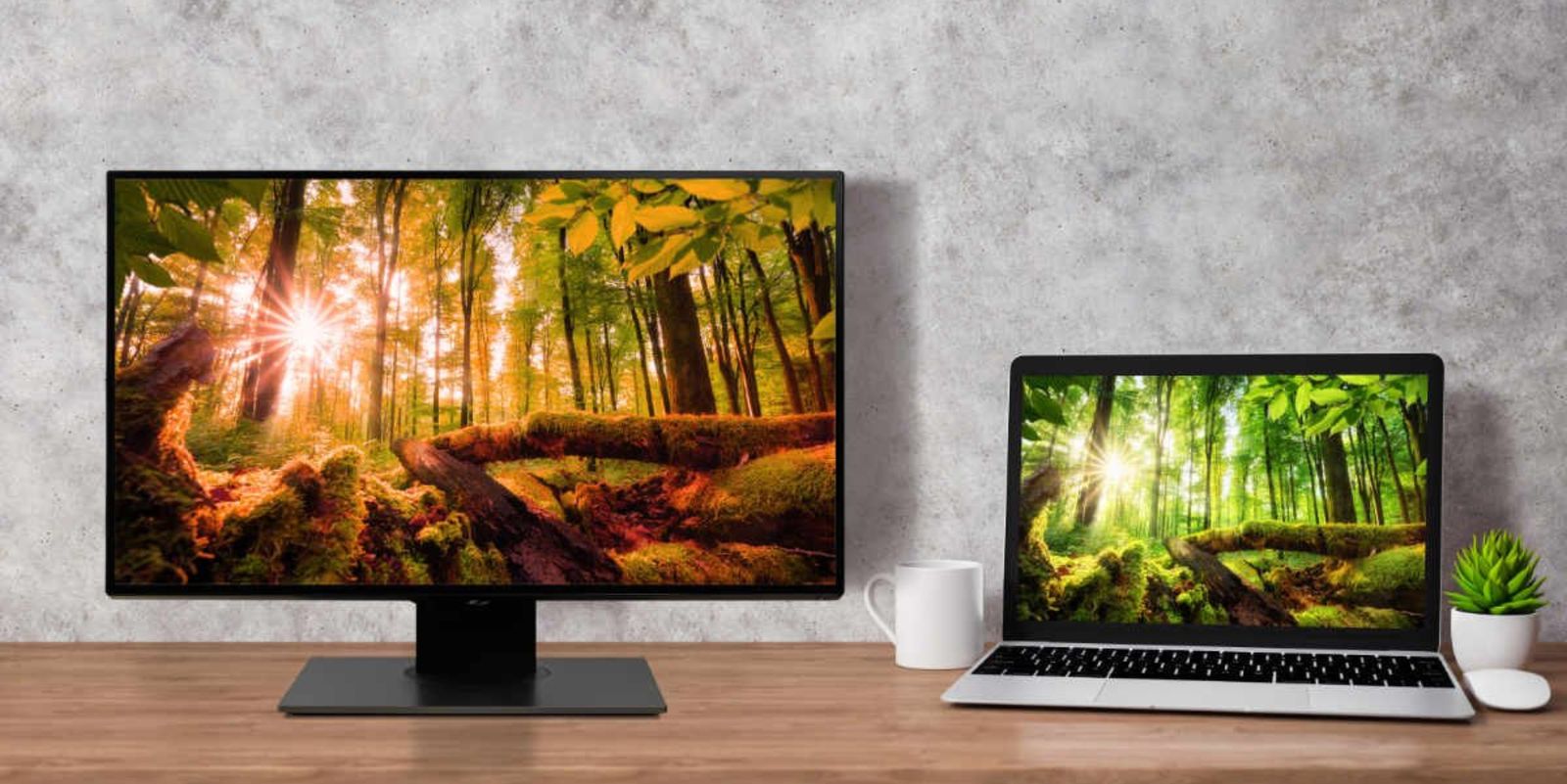 What is resolution - Image of a black monitor featuring an image of a forest on the display next to a laptop also with an image of forest on the display.