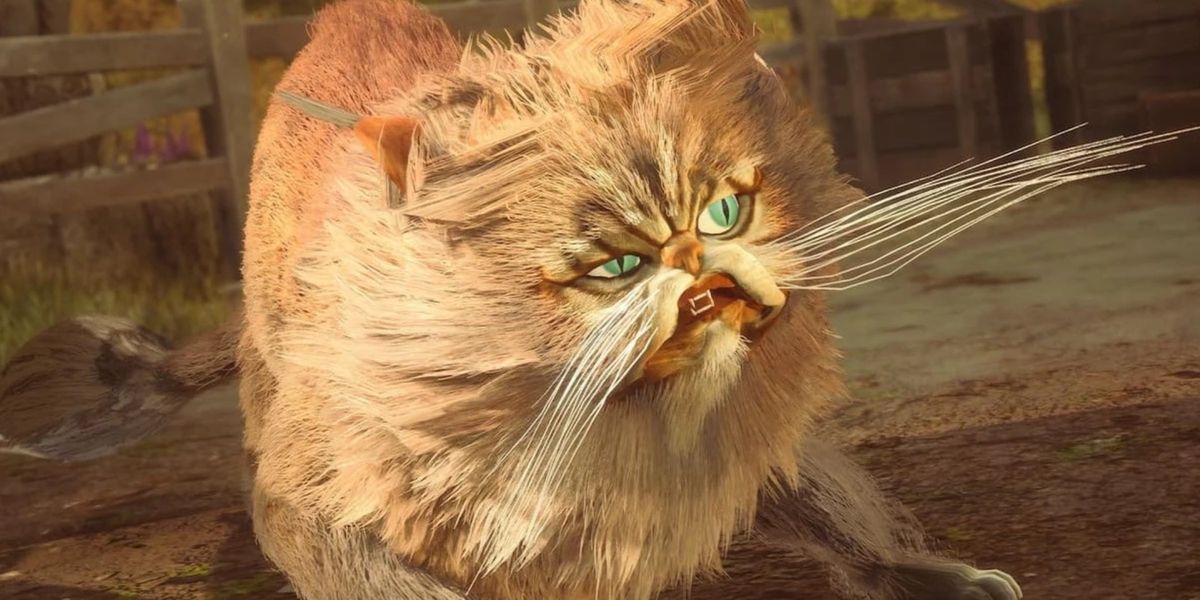 hogwarts legacy devs turned cats into deadly murderers