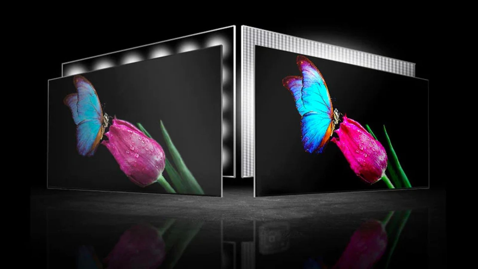 Image of two TVs with a blue butterfly at a pink flower, one with an OLED display, the other with a Mini LED.
