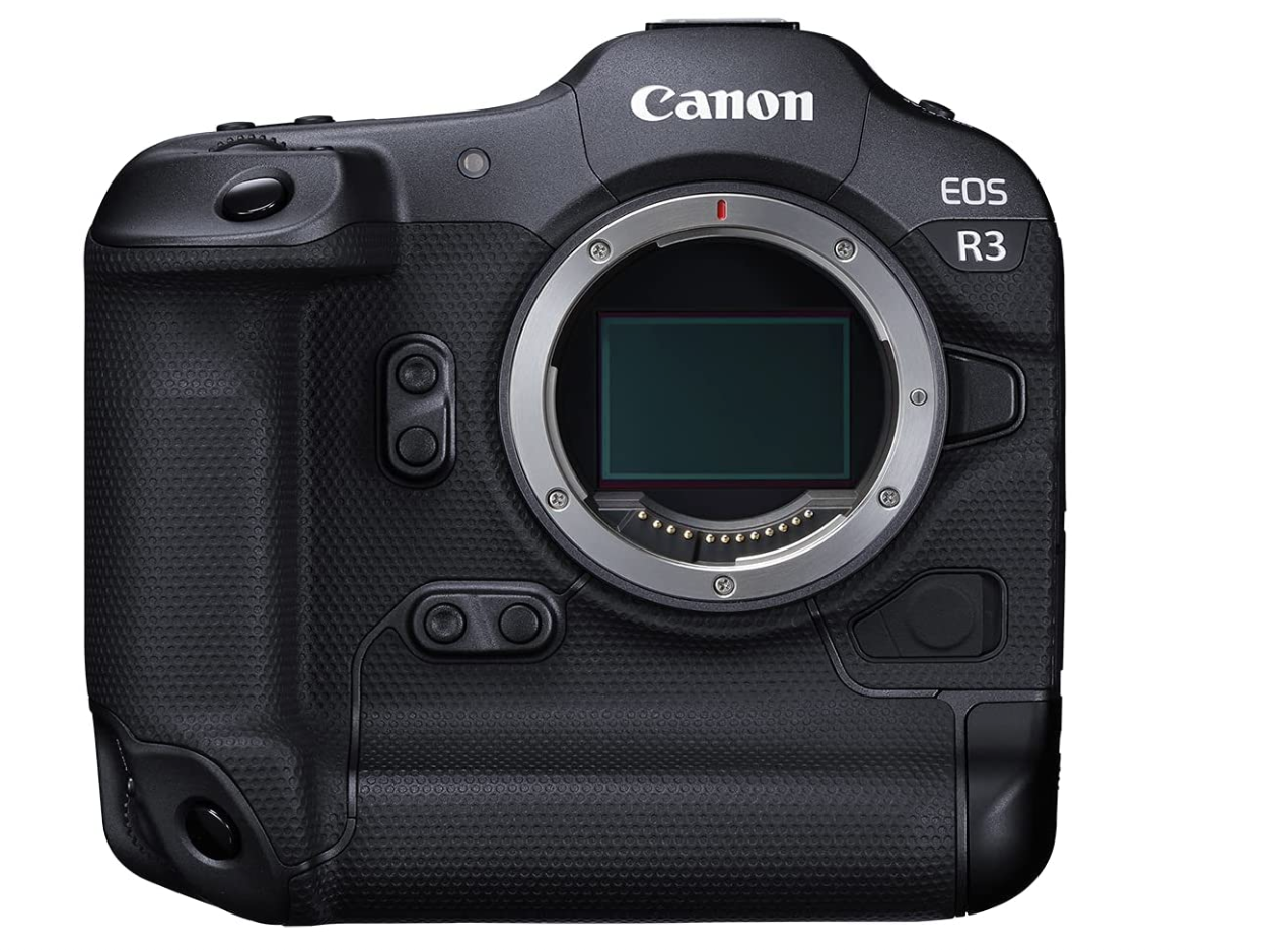 Best Canon camera for wildlife photography 2023 Our top picks