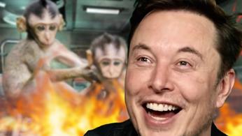 Elon Musk laughing as Neuralink monkeys in an evil, flaming Resident Evil lab 