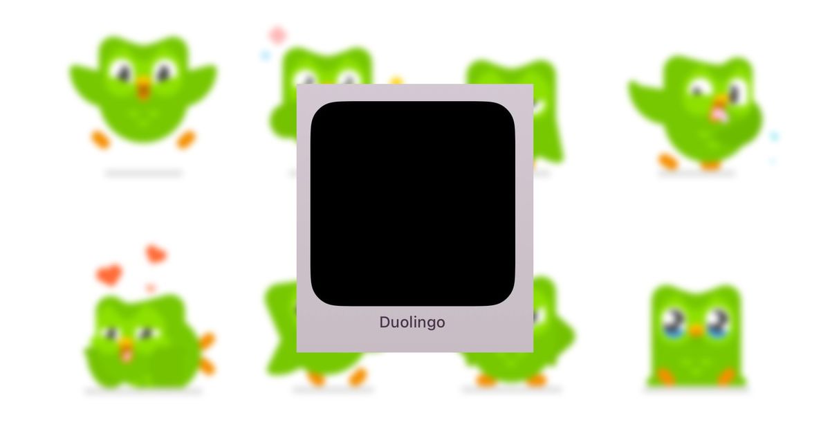 An image of the Duolingo Black Widget