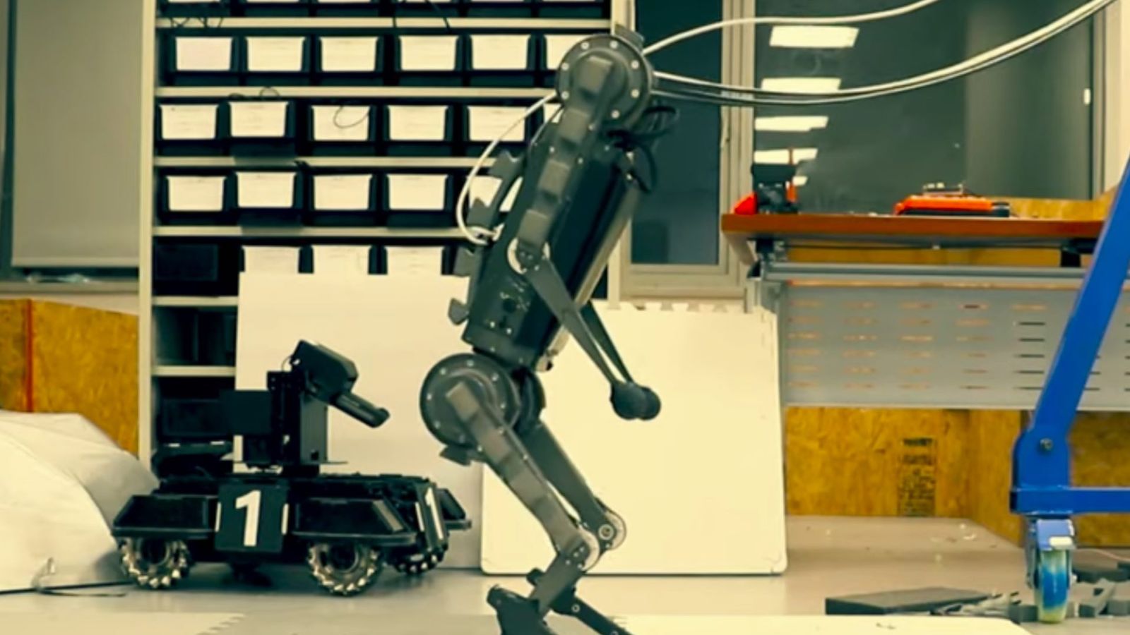 A hacked robot dog walking on its hind legs 