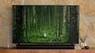 A black flatscreen TV with a forest scene on the display sat on a wooden TV stand behindd a black Sonos soundbar.
