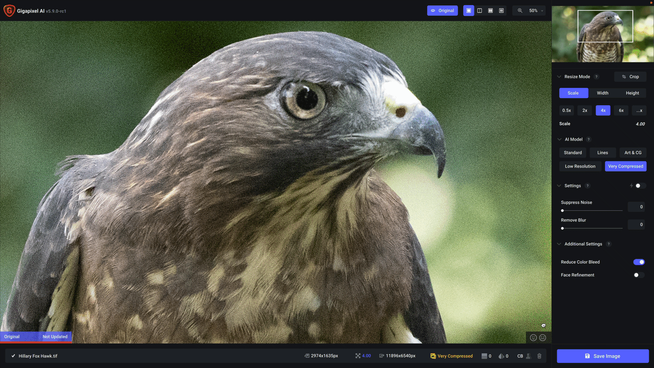 Picture of a bird of prey - Topaz Labs won't install