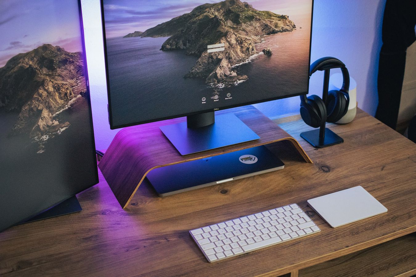 best monitor for working from home
