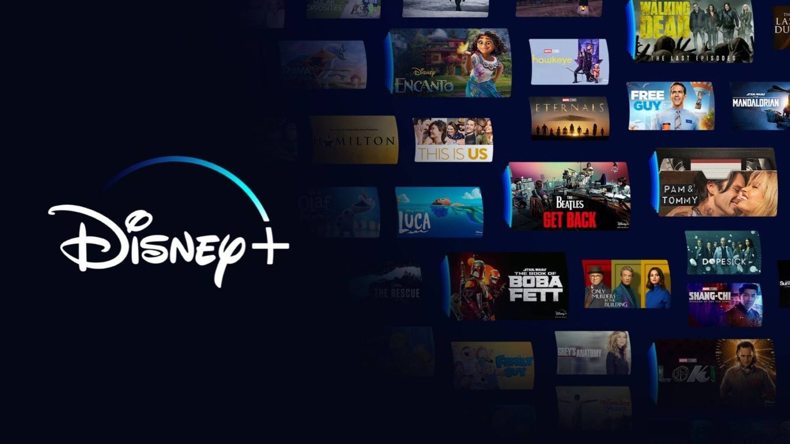 Disney Plus error code 73 - An image of the Disney logo alongside some titles available on the platform
