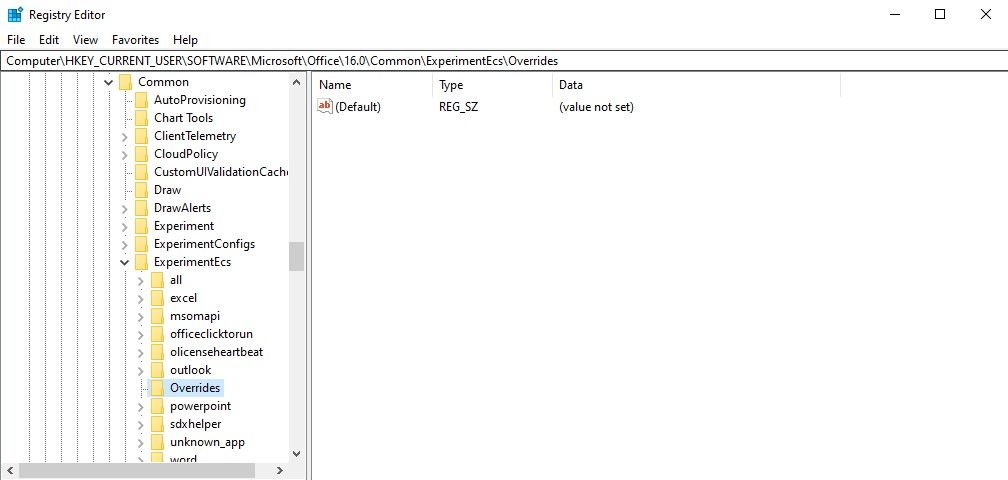 A screenshot of the Overrides folder in the Registry Editor. 