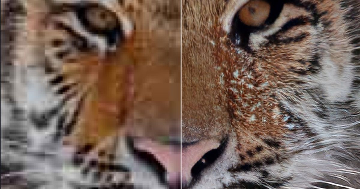 A tiger's face being edited in Topaz Phot AI - Topaz labs can't install