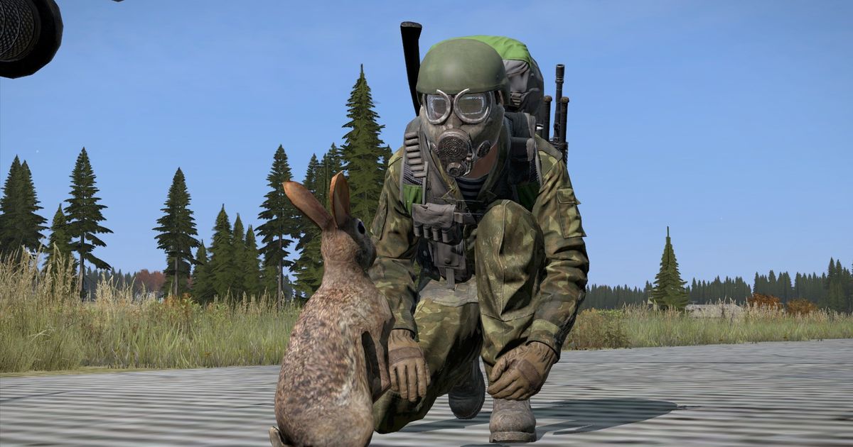 Get wrench in DayZ - character with rabbit